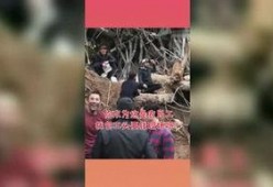 吃瓜星球娱乐,揭秘娱乐圈幕后故事，带你领略明星们的真实生活