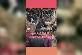 吃瓜星球娱乐,揭秘娱乐圈幕后故事，带你领略明星们的真实生活