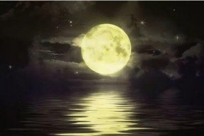 娱乐吃瓜酱月亮是我杀的,揭秘“月亮是我杀的”背后的惊人真相